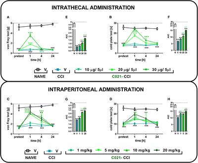 CCR4 Antagonist (C021) Administration Diminishes Hypersensitivity and Enhances the Analgesic Potency of Morphine and Buprenorphine in a Mouse Model of Neuropathic Pain
